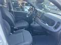 Fiat Panda 1.0 FireFly S&S Hybrid Weiß - thumbnail 9