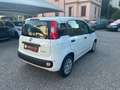 Fiat Panda 1.0 FireFly S&S Hybrid Weiß - thumbnail 7