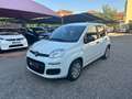 Fiat Panda 1.0 FireFly S&S Hybrid Weiß - thumbnail 3