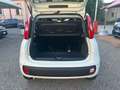 Fiat Panda 1.0 FireFly S&S Hybrid Weiß - thumbnail 12