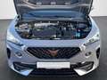 CUPRA Formentor 1.5 TSI LED/Navi/Leder/DCC/Pano/360° Grau - thumbnail 22