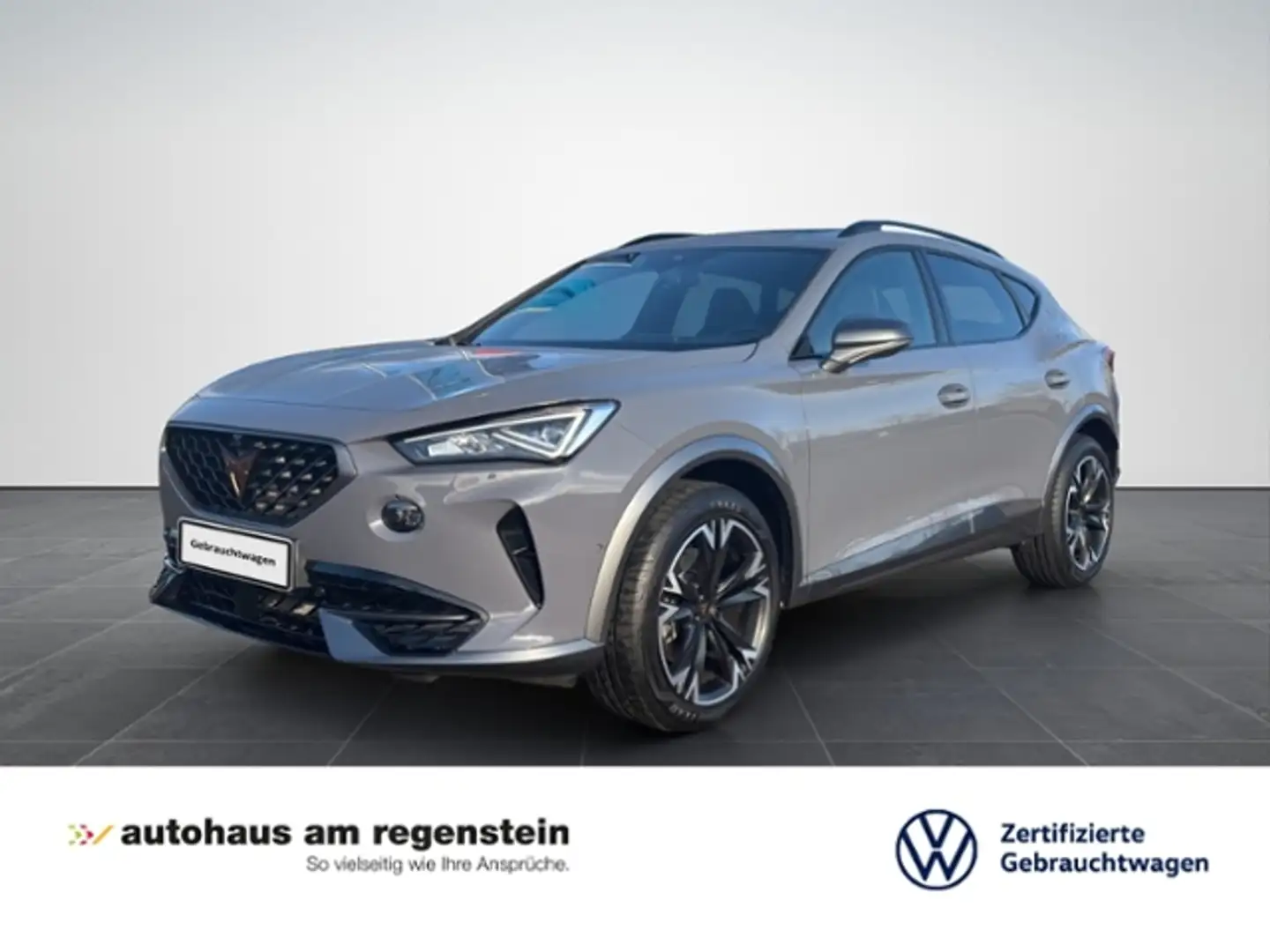 CUPRA Formentor 1.5 TSI LED/Navi/Leder/DCC/Pano/360° Grau - 1