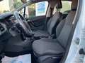Citroen C3 1.4 HDi 70 Exclusive Bianco - thumbnail 11