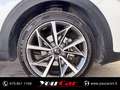 Kia Niro 1.6 gdi phev Evolution dct Bianco - thumbnail 14