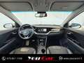 Kia Niro 1.6 gdi phev Evolution dct Bianco - thumbnail 10