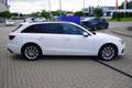 Audi A4 Avant 40 2.0 TDI quattro LED Navi ACC 360° Weiß - thumbnail 7
