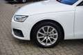 Audi A4 Avant 40 2.0 TDI quattro LED Navi ACC 360° Weiß - thumbnail 10