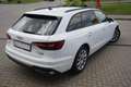 Audi A4 Avant 40 2.0 TDI quattro LED Navi ACC 360° Weiß - thumbnail 6