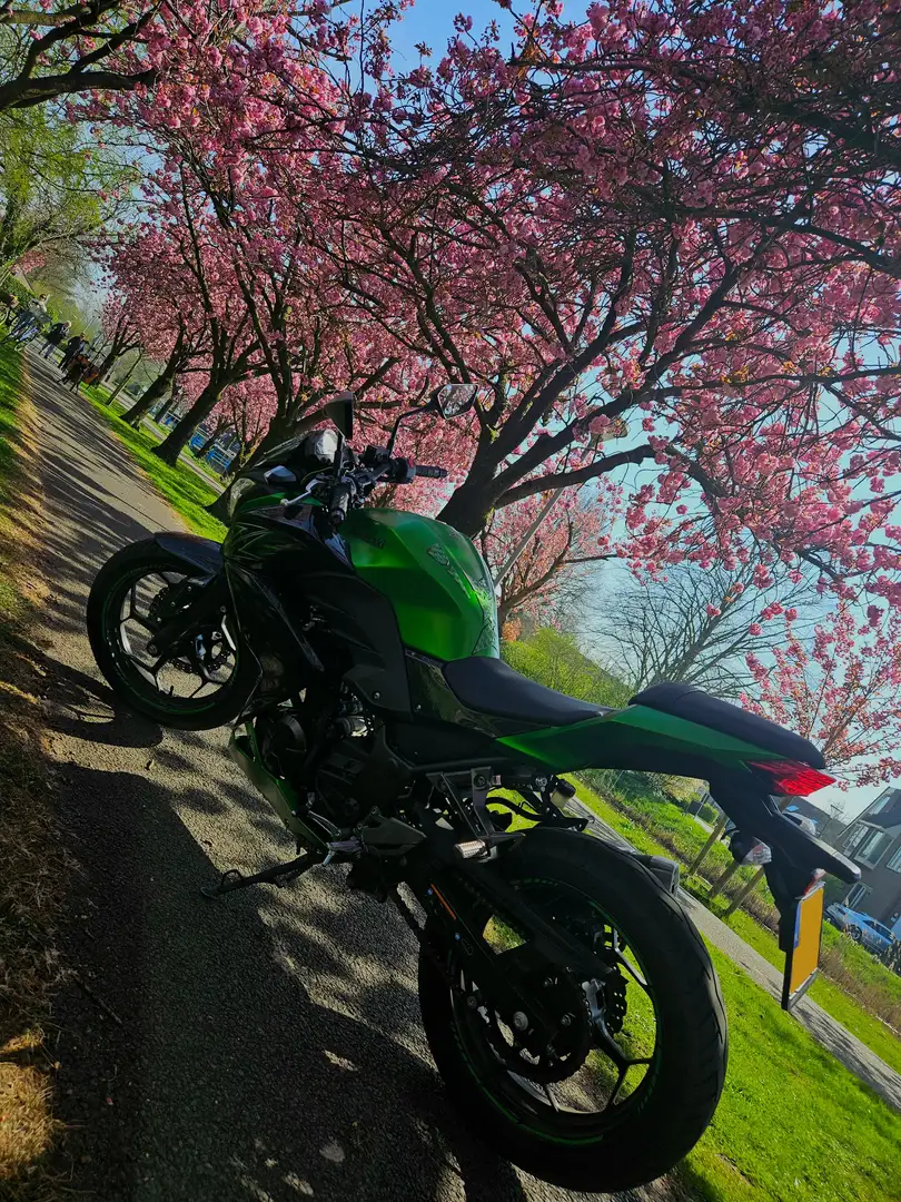 Kawasaki Z 300 2016 Noir - 2