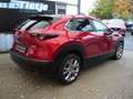 Mazda CX-30 SKYACTIV-G 2.0 150PS M Hybrid Selection 2W Rouge - thumbnail 3