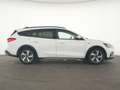 Ford Focus Active Kamera|LED|Navi|SHZ|Sportsitze|PDC Weiß - thumbnail 5