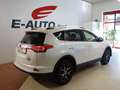 Toyota RAV 4 2,5 Hybrid Lounge 4WD Aut. *ERSTBESITZ *GARANTIE Weiß - thumbnail 8