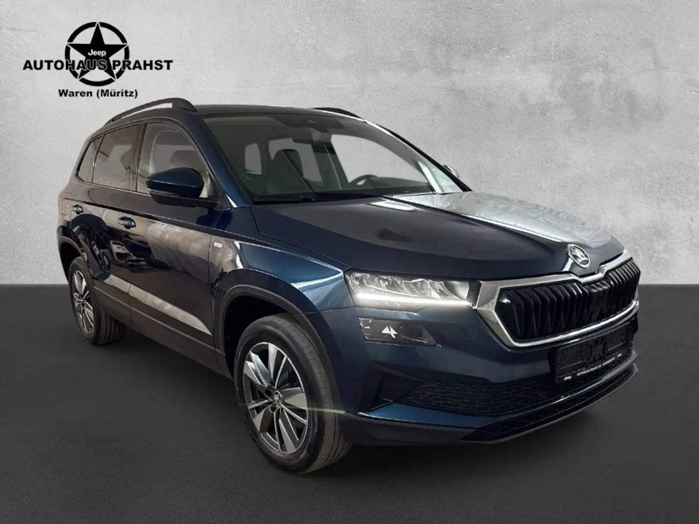 Skoda Karoq 2.0TDI DSG Tour Navi LED Kamera Traveller Blau - 1