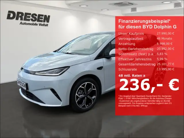 BYD Dolphin G