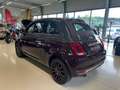 Fiat 500C 500 Cabrio Collezione Sport Edition -Wenig Km Grau - thumbnail 9