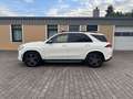 Mercedes-Benz GLE 350 d 4Matic AMG LINE NightPaket Pano Weiß - thumbnail 8