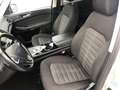 Ford Galaxy Business 2.0 EcoBlue *7 Sitzer Navi PDC* Plateado - thumbnail 6