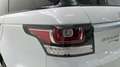 Land Rover Range Rover Sport 3.0TDV6 HSE Aut. - thumbnail 13