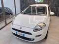 Fiat Punto 1.4 8V GPL Easypower Young Bianco - thumbnail 3