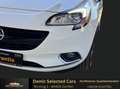 Opel Corsa Color Edition |TÜV 01/27|8-FACH|GARANTIE| Blanc - thumbnail 5