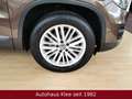 Volkswagen Tiguan 1.4 TSI CUP *Klima*LM*PDC*1.Hand* Braun - thumbnail 11