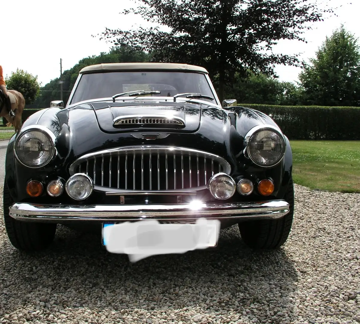 Austin-Healey Sonstige HMC MK4 Grün - 1