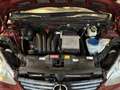 Mercedes-Benz A 150 A 150 Classic Rood - thumbnail 34