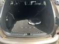 Ford Kuga ST-Line X LED+AHK+Kamera+Winterpaket Argent - thumbnail 16