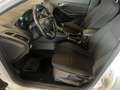 Ford Focus SW 1.5 tdci Business Autocarro N1 Iva Esposta Blanc - thumbnail 8