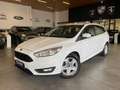 Ford Focus SW 1.5 tdci Business Autocarro N1 Iva Esposta Blanc - thumbnail 1