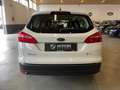 Ford Focus SW 1.5 tdci Business Autocarro N1 Iva Esposta Blanc - thumbnail 5