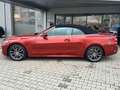 BMW 420 i Cabrio LED Navi Totw. Spur Kamera PDC H/K 18" Naranja - thumbnail 11