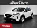 CUPRA Formentor 1.4 e-HYBRID...AHK/LED/Kamera/Keyless Weiß - thumbnail 1