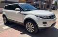 Land Rover Range Rover Evoque Range Rover Evoque 2.2L TD4 Pure Tech 4x4 Pure Tech Blanco - thumbnail 3