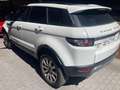 Land Rover Range Rover Evoque Range Rover Evoque 2.2L TD4 Pure Tech 4x4 Pure Tech Blanco - thumbnail 2