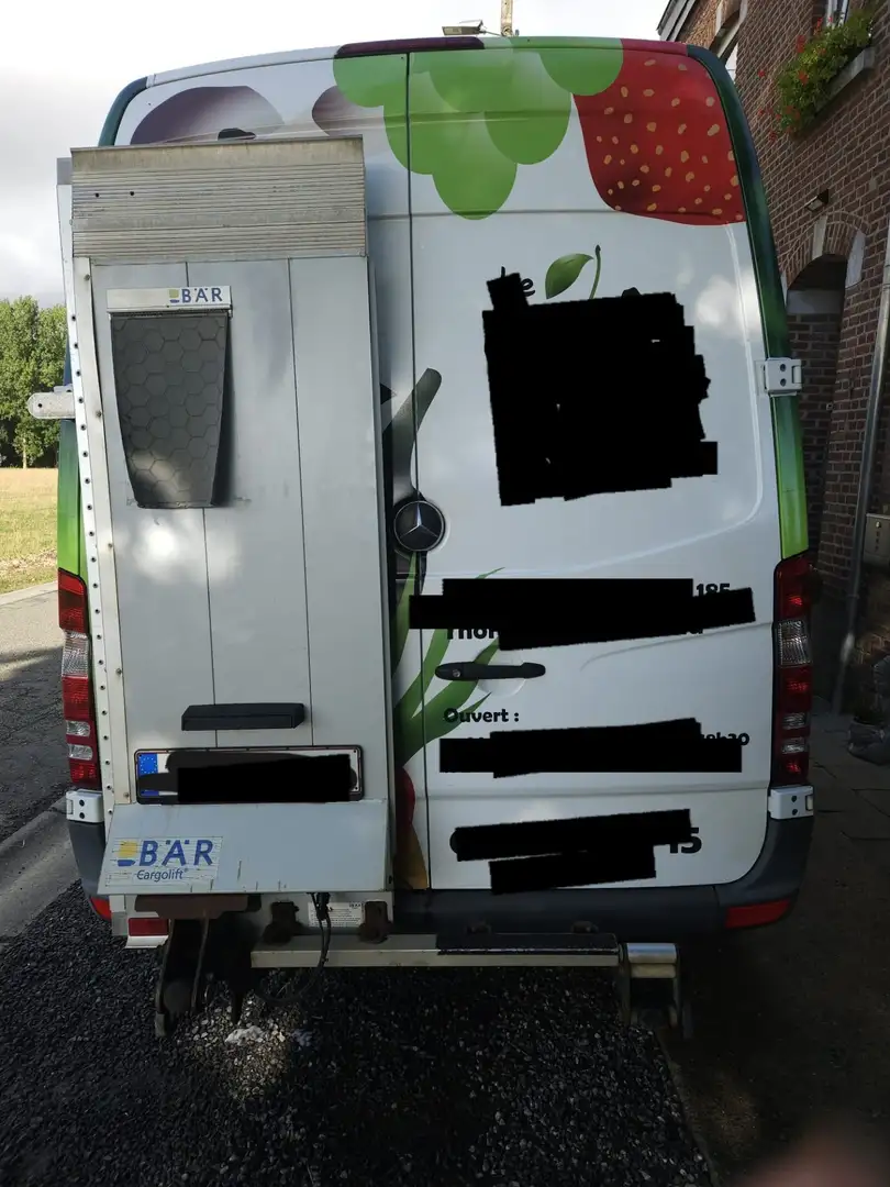 Mercedes-Benz Sprinter 313 CDI avec élévateur - 1