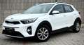 Kia Stonic Stonic 1,25 MPI ISG Österreich Edition 7 Weiß - thumbnail 8