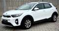 Kia Stonic Stonic 1,25 MPI ISG Österreich Edition 7 Weiß - thumbnail 3