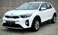 Kia Stonic Stonic 1,25 MPI ISG Österreich Edition 7 Weiß - thumbnail 7