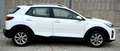 Kia Stonic Stonic 1,25 MPI ISG Österreich Edition 7 Weiß - thumbnail 11