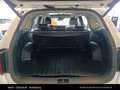 Kia Sorento 1,6 T-GDI Plug-In Hybrid GPF AWD Gold Aut. Weiß - thumbnail 14