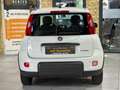 Fiat Panda /KLIMA/4-TÜRER/DAB/ALLWETTER/1-HAND Weiß - thumbnail 13