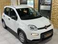 Fiat Panda /KLIMA/4-TÜRER/DAB/ALLWETTER/1-HAND Weiß - thumbnail 11
