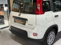 Fiat Panda /KLIMA/4-TÜRER/DAB/ALLWETTER/1-HAND Weiß - thumbnail 8
