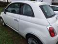 Fiat 500 1.2 Lounge 69cv Bianco - thumbnail 1