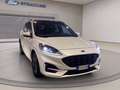 Ford Kuga 1.5 ecoboost ST-Line 2wd 150cv Blanc - thumbnail 3