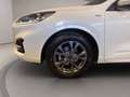 Ford Kuga 1.5 ecoboost ST-Line 2wd 150cv Blanc - thumbnail 7