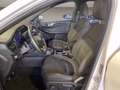 Ford Kuga 1.5 ecoboost ST-Line 2wd 150cv Blanc - thumbnail 8