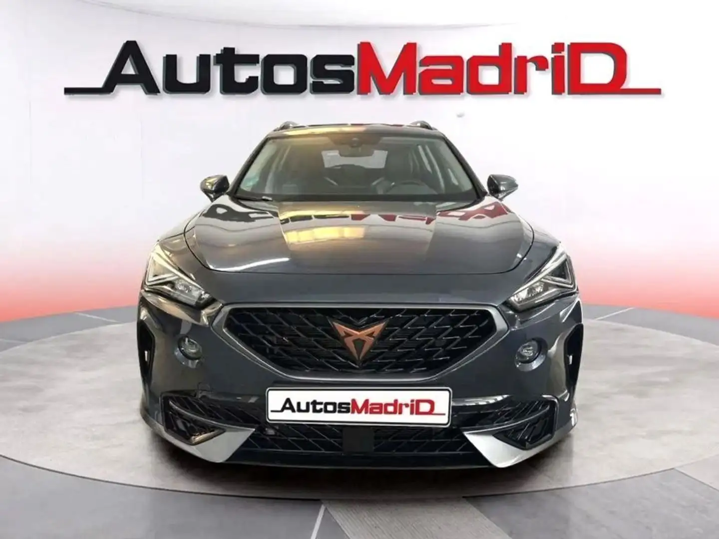 CUPRA Formentor 2.0 TDI 150 Gris - 2