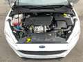 Ford Focus 1.5 TDCi Trend Lim. Euro-6,NAVI,netto 7500,e Weiß - thumbnail 15
